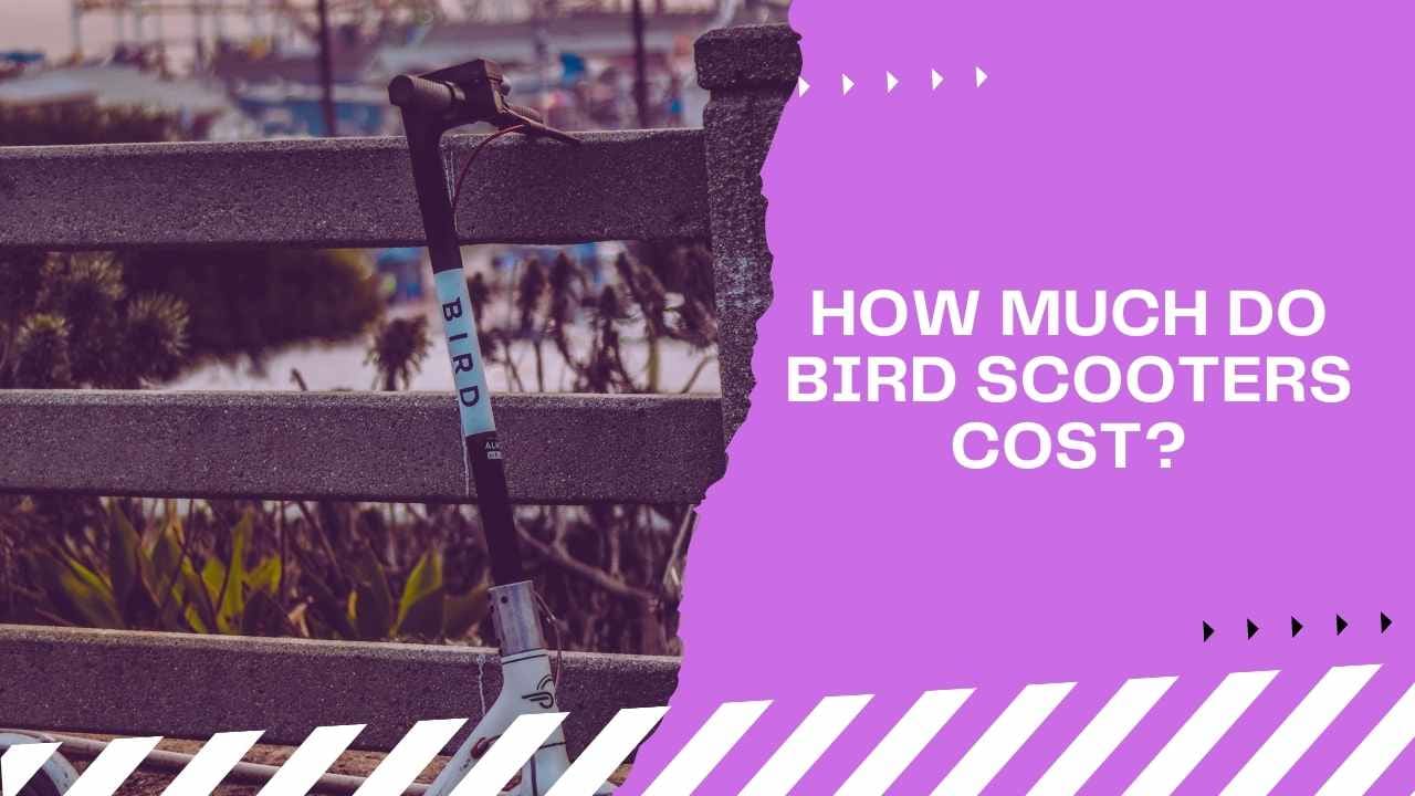 how much do bird scooters cost