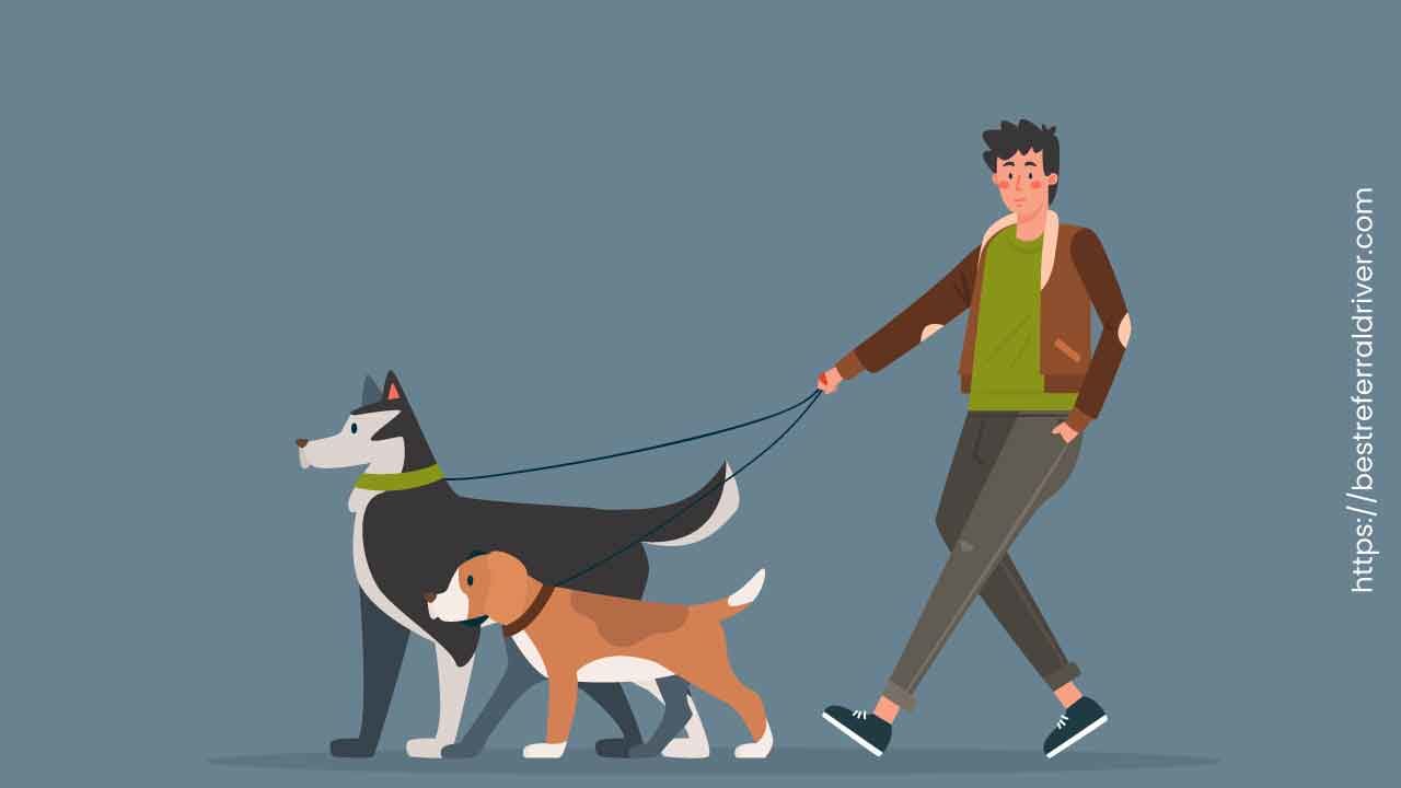 dog walking apps to make money