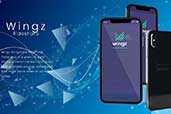 wingz review